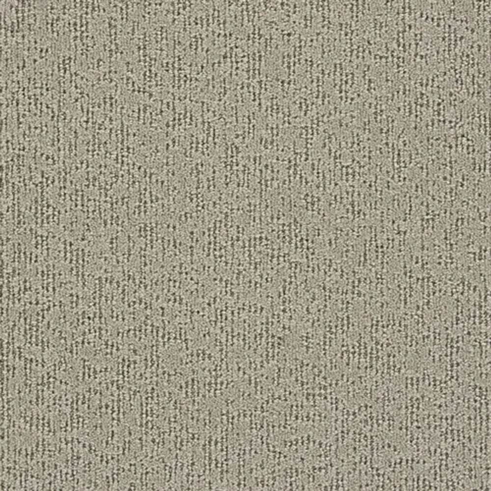 GRAIN SC041